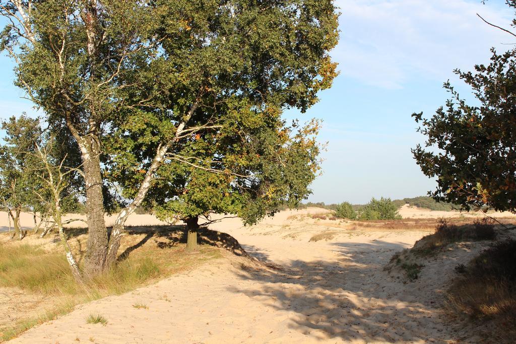 Natuurpoort Van Loon Loon op Zand Bagian luar foto